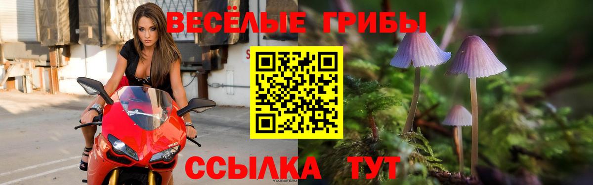 Галлюциногенные грибы MAGIC MUSHROOMS Тельмана